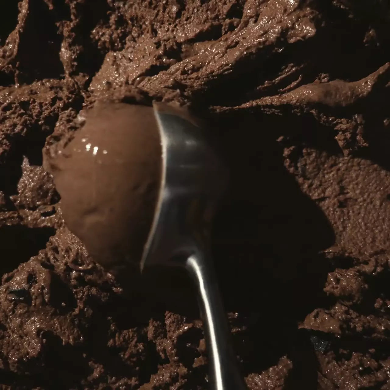 Triple Chocolate (6 pints) - Daily Classic Pick